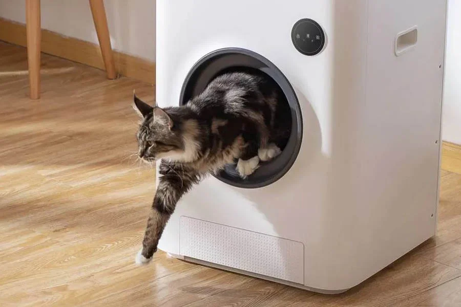 best litter boxes for cats
